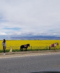 ȥ��������10��ȥ�����͵���ȥ�˴����й�