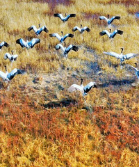 7����·���������δ�������