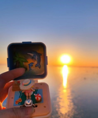 �������س���ָä���ˣ�������������̫����