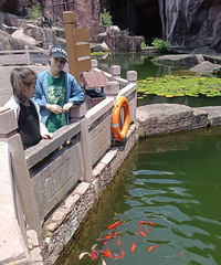 ľ˸ɳ̲��ѵĵط���ֵ��һ��