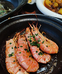 �������ʲô���ٻ���ţ��