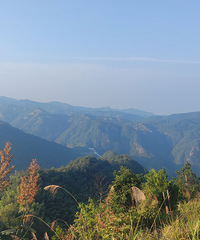 ����·�������������������ɡ�����î������̨�²����м�