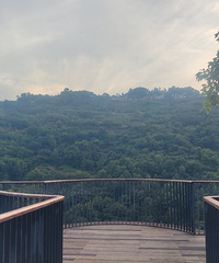 ᾵ߣʶ֮顪į̂²м