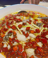 �������ʲô�����Ժ����ζ���ܲ���