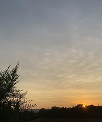 33�꽷���ϳ���GG��δ��δ����������������177