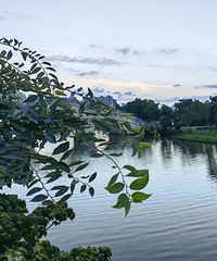 90������MM��ר�ƣ�ϣ��δ������һ������172+