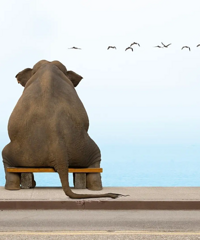 ���������ҵ���������89��175�߱���GG�������4K