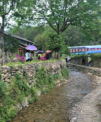 �Լݽ���318��