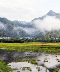 �������ɽ�������ƾ���ɢ