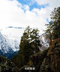 [����]������¶��Ľ�����