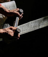 317���ر��߲��ɴ�����10�󾰵㣬������ȥ������