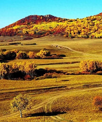 [�Լ�]6���������й��������족���Լ�·��