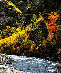 ��ѡ10�������Լ���·��������죬�����ջ������ɫ