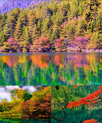 �����ˣ�����9-10�·ݱ�ȥ��ʮ������ʤ���Ƽ�