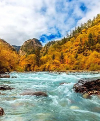 ��ѡ10�������Լ���·��������죬�����ջ������ɫ