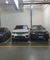 ��ͣ�İ׳��������ţ���ͣ�ĺ�ɫ��û�����Σ�