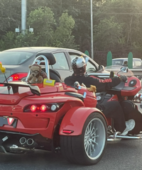 ��һ�۾;��úúÿ�����������ӣ�˭�ܸ������������Ǯ