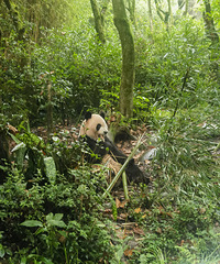 ��2023�μǡ����˳ɶ���Ҫ��һ�˶����߰�