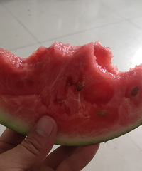 ����ʲô�о�