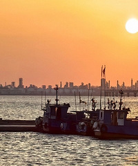 [����]2023�����������Ƽ�