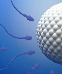 �Թ�Ӥ��ȡ�ѵ���ʵ�õ����ⶼ�����������ˣ�