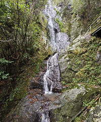 ;������318�����Ͱ��������򿨣���ϧ��������