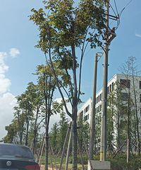 ��ĩ���Ա����ǰ�ߣ���˾�۹��������ϲ�������