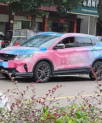 ���������ġ���ɫ�����ǣ������۰�