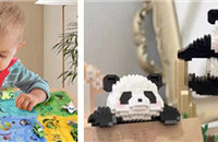 �����������Ȥ�£�Ӯƴͼ���������è��ľ