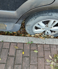 ���������ġ����㽩ʬ����ǰ����Ҳ����