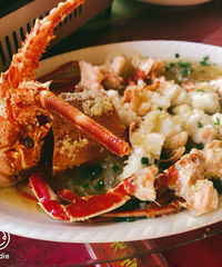 �������ʲô������Ϻ500Ԫһֻ