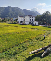 10��3�գ������Լ�ȥС֥תת