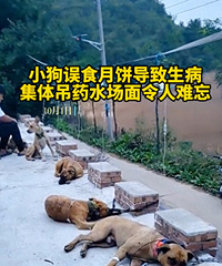 ��������ſ�ش���룺���������±�