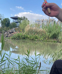 2023μǡС¶Ӫʥ--ʪع԰