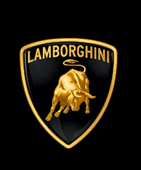 ���������й��ŵ�ֲ����ϱ�������ô��