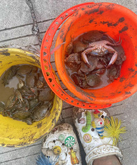 ڴ̲ͿѽѽڣһͰСзؼ