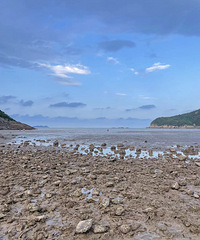 �ڴ���̲Ϳ������ѽ��ѽ�ڣ���һͰС�з���ؼ�