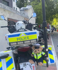 ���������ġ���ô���������ֿ����ȵľ����ȵ���û