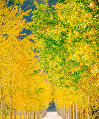 [����]����̨ɽ�ﾰ����������ɫ����