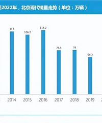 ���ʳ�������ѣ�������������񽵼�˦������