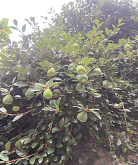 �۸��������ɶ�����Գ���