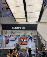 �������������ȥ�����