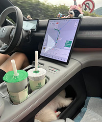 ���������ġ���Ҳ��ר��λ����,���Ѽҵ�С�̡�