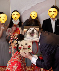 [���]�Ƽ����������ӵĻ�Ь���Ƚ��ʺϽŰ��