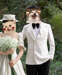 [����ռ�]��ɴ����һ�׹Ŵ������������˼