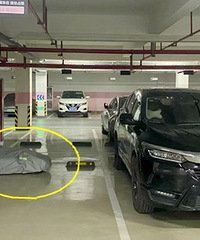 ˭��С��ү��ͣ���⣡