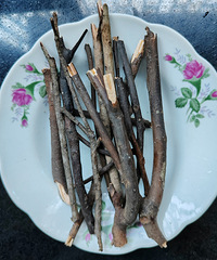 Ϊʲô������ѵ�̨�ݣ�̨����ϲ�������ԡ��񡱣�