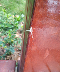 ���Ǹ�ʲô��������ǰ��ĩ����