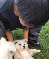 ���۸��ࡿ�µ�ƽ��С�Խ��ı߿�����ʱ��̯һ��