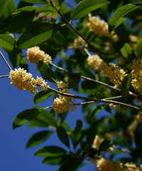 ���°�һ·��������ʱ�����Ǻ�